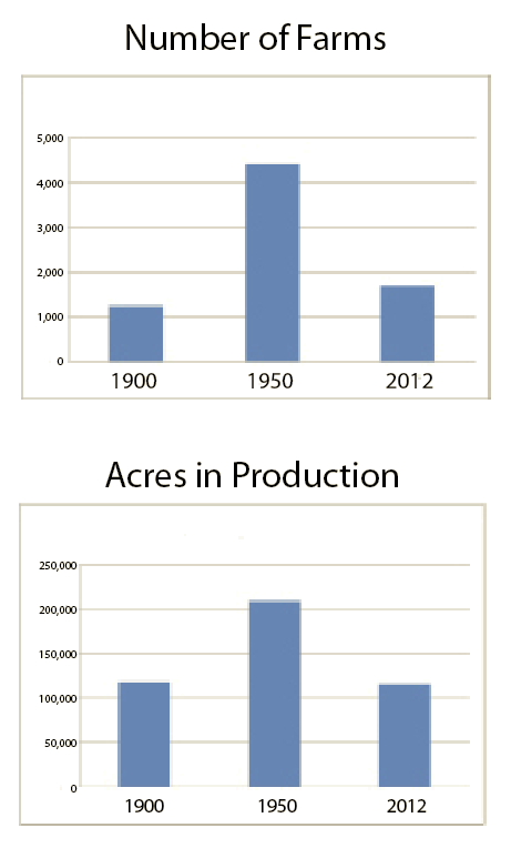 Historic graph of number of farms and productive acreage.