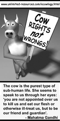 Cowism