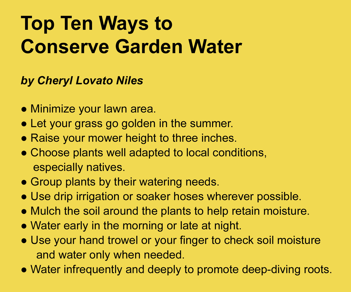 Top Ten Ways to Conserve Water
