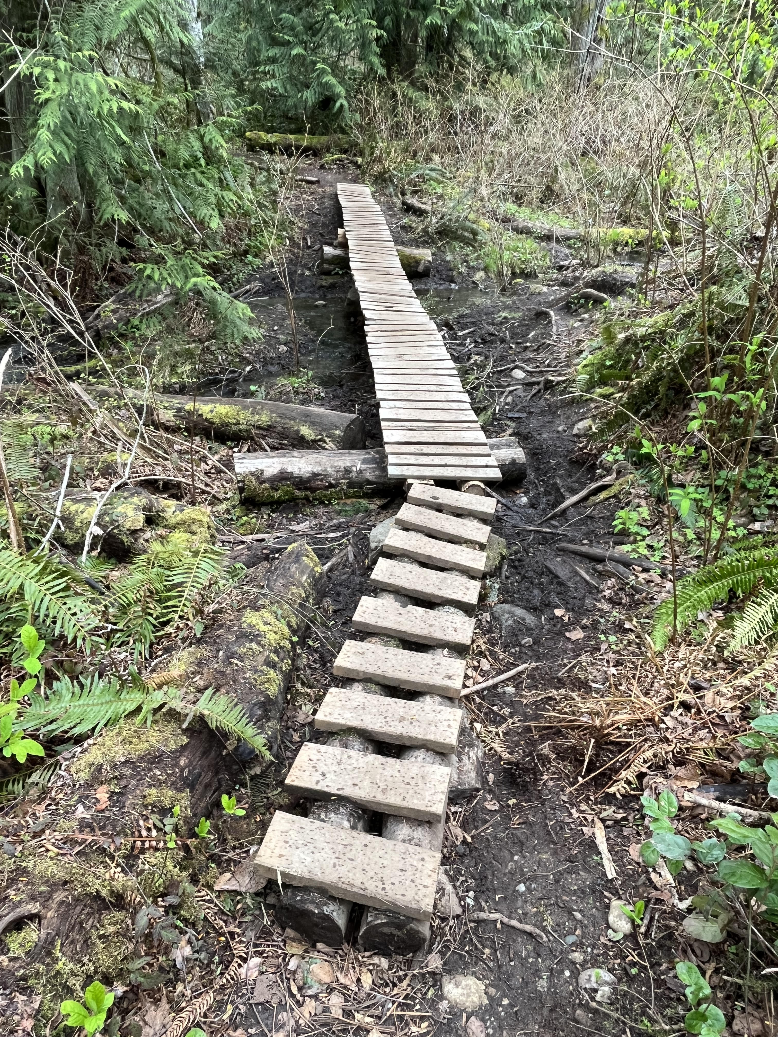 volunteer-built bridge