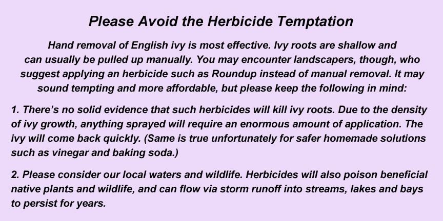 Please Avoid the Herbicide Temptation
