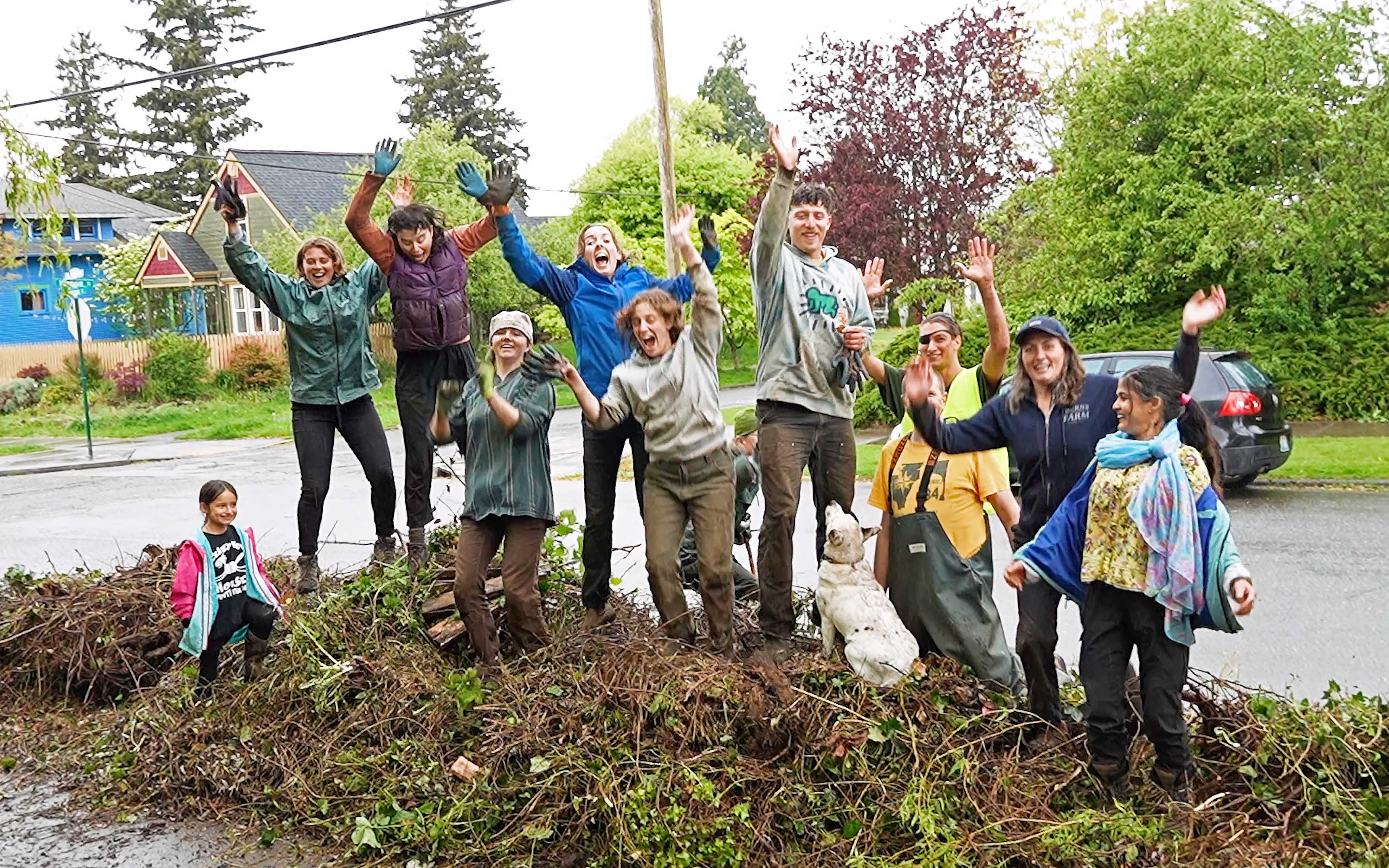 Residents celebrate removed ivy.