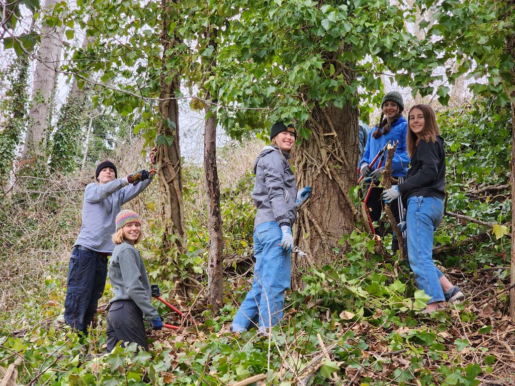 ivy work party volunteers