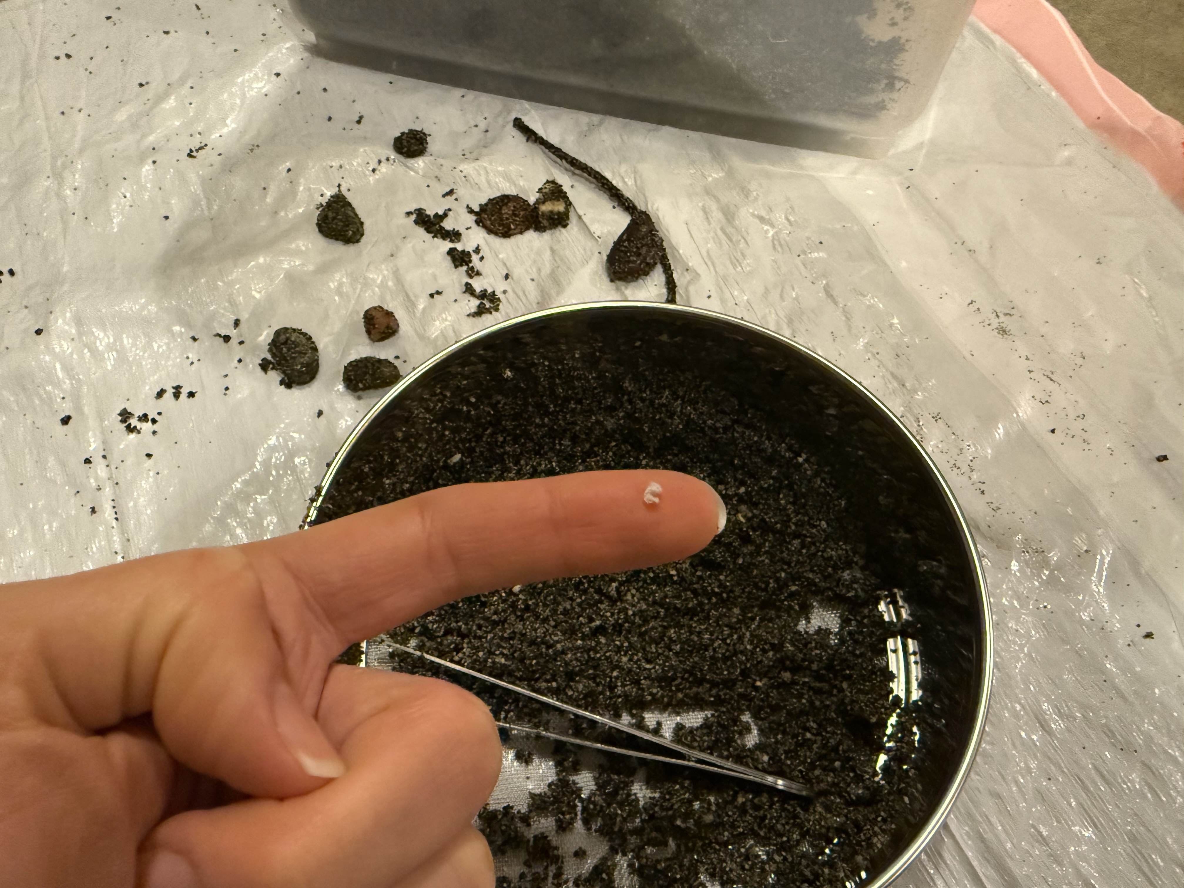 microfibre found in the sand