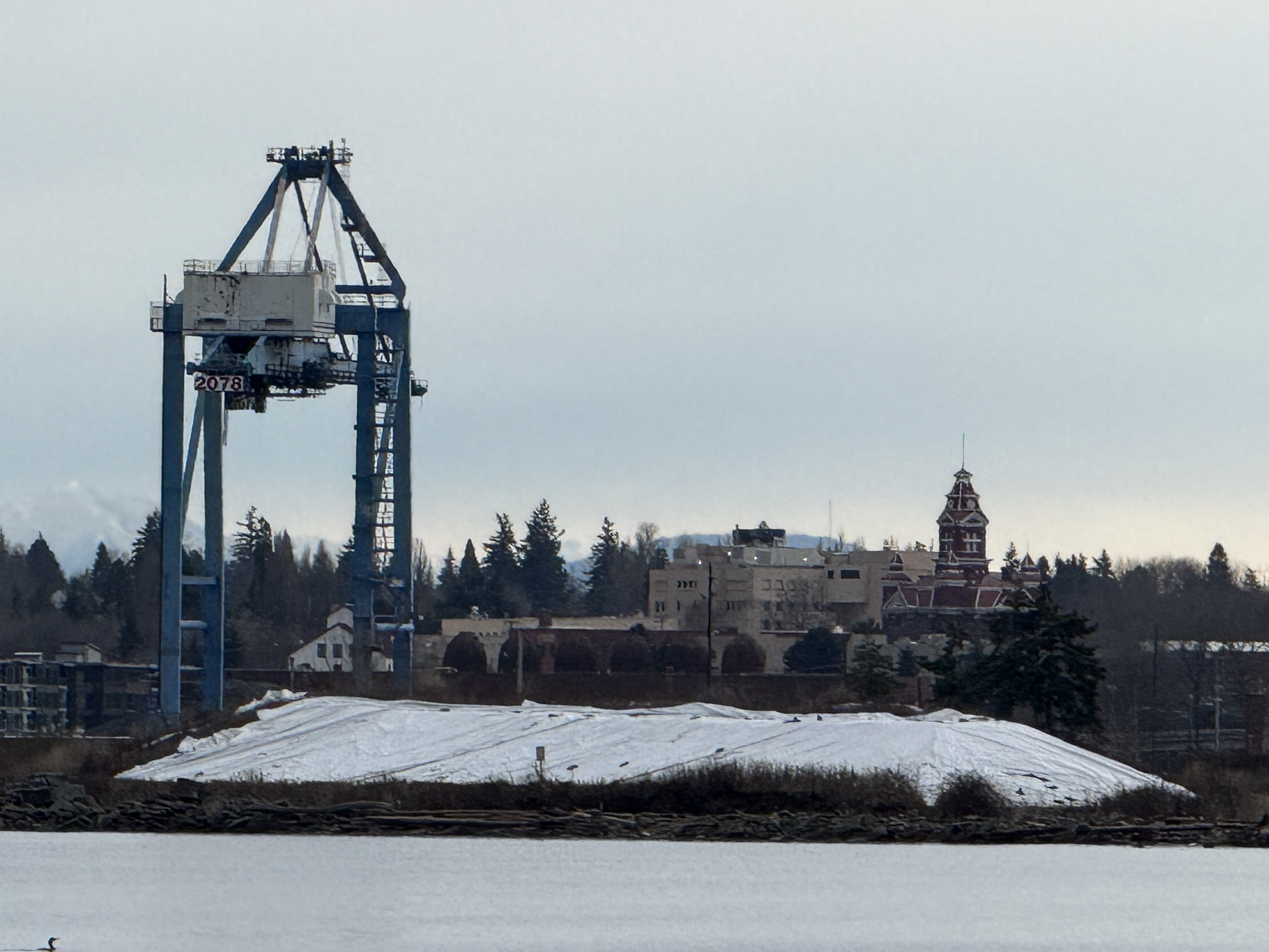 contaminated material on the Cornwall Avenue Landfill site,