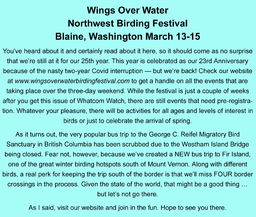 Wings Over Water