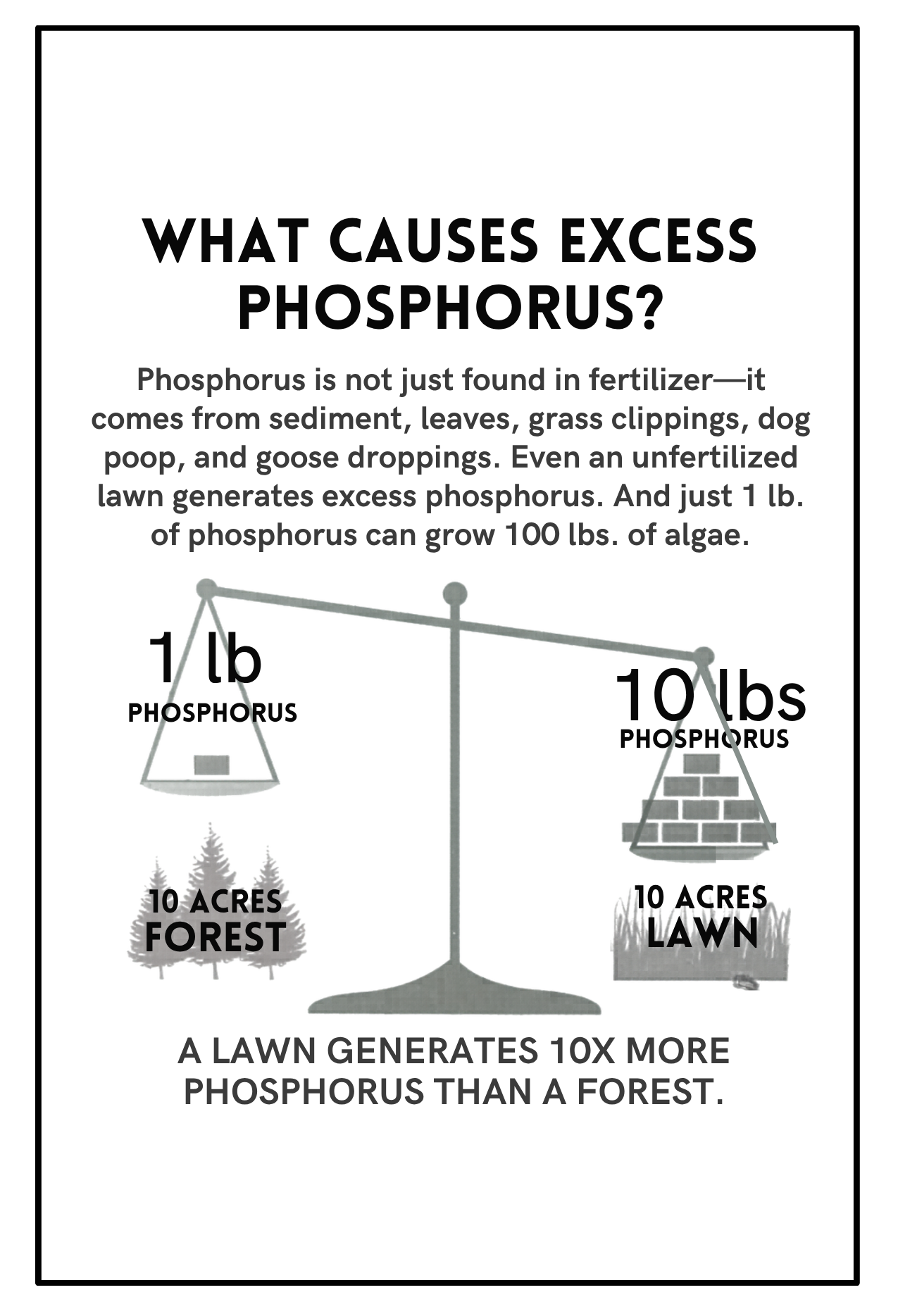 What Causes Phosphorus