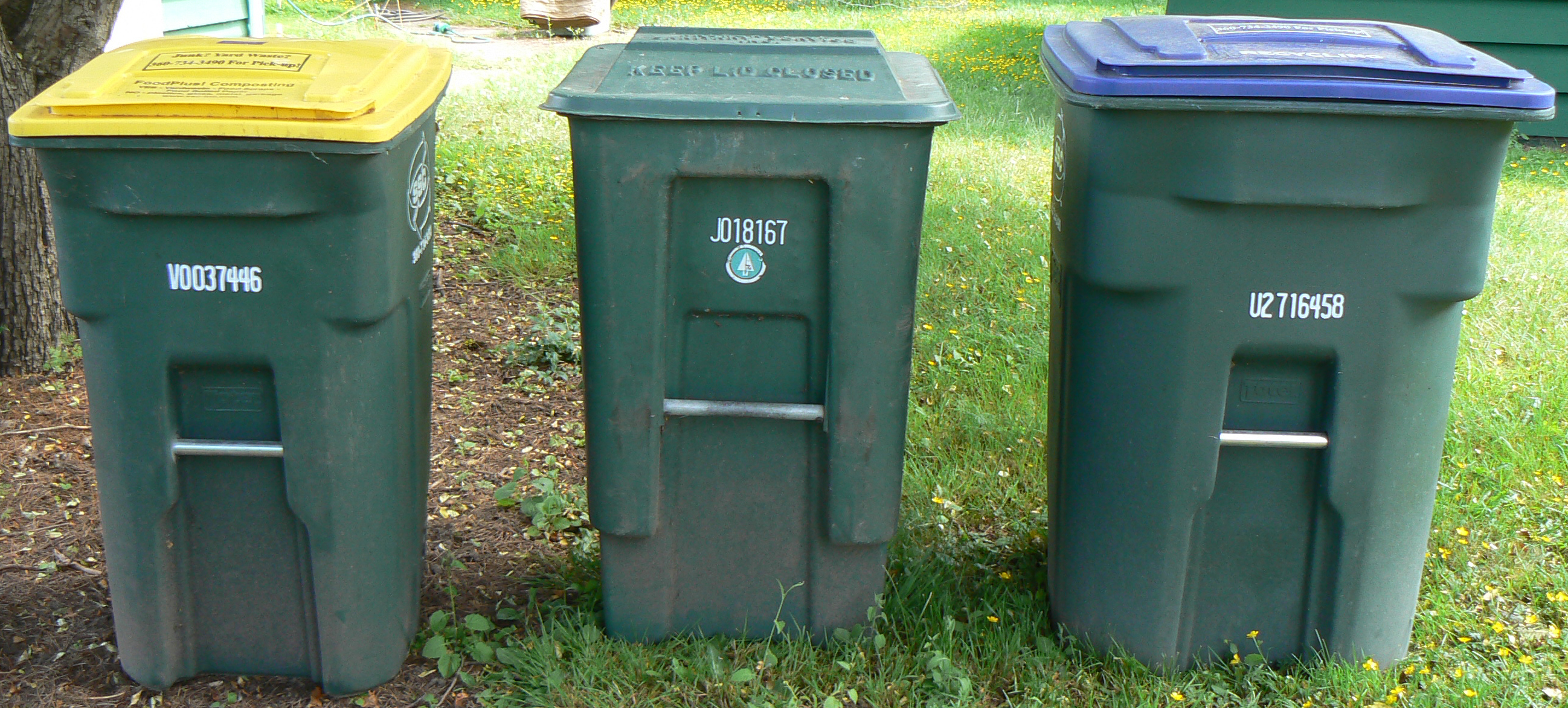 Yard-waste, Garbage and Recycling bins