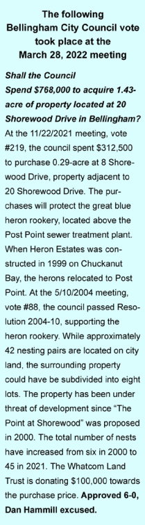 Bellingham City Council 3/28/22