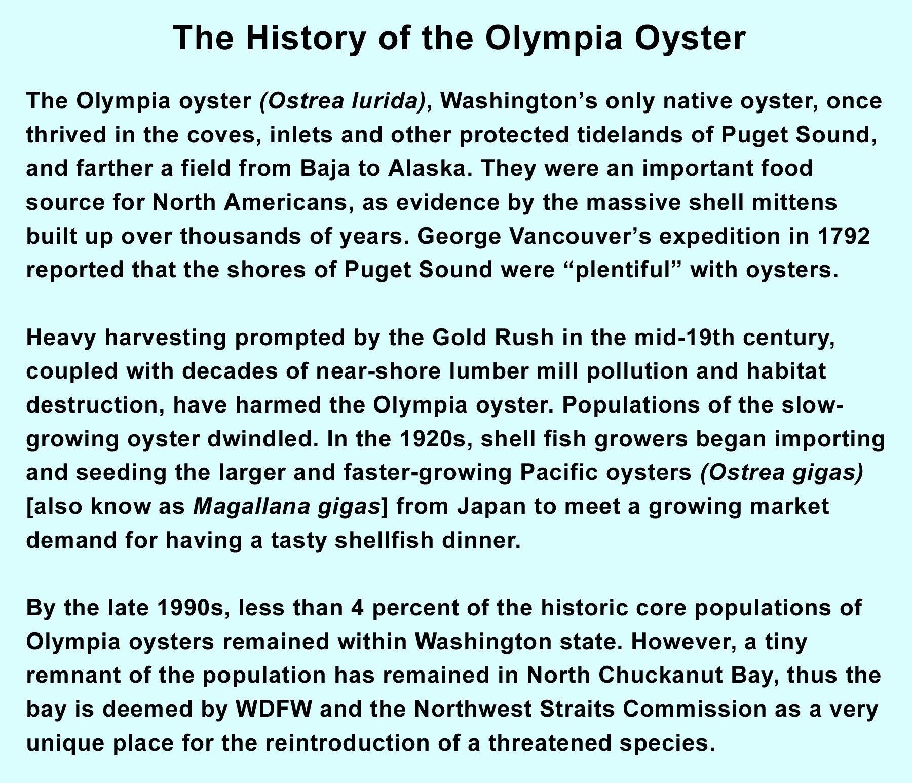 The History of the Olympia Oyster