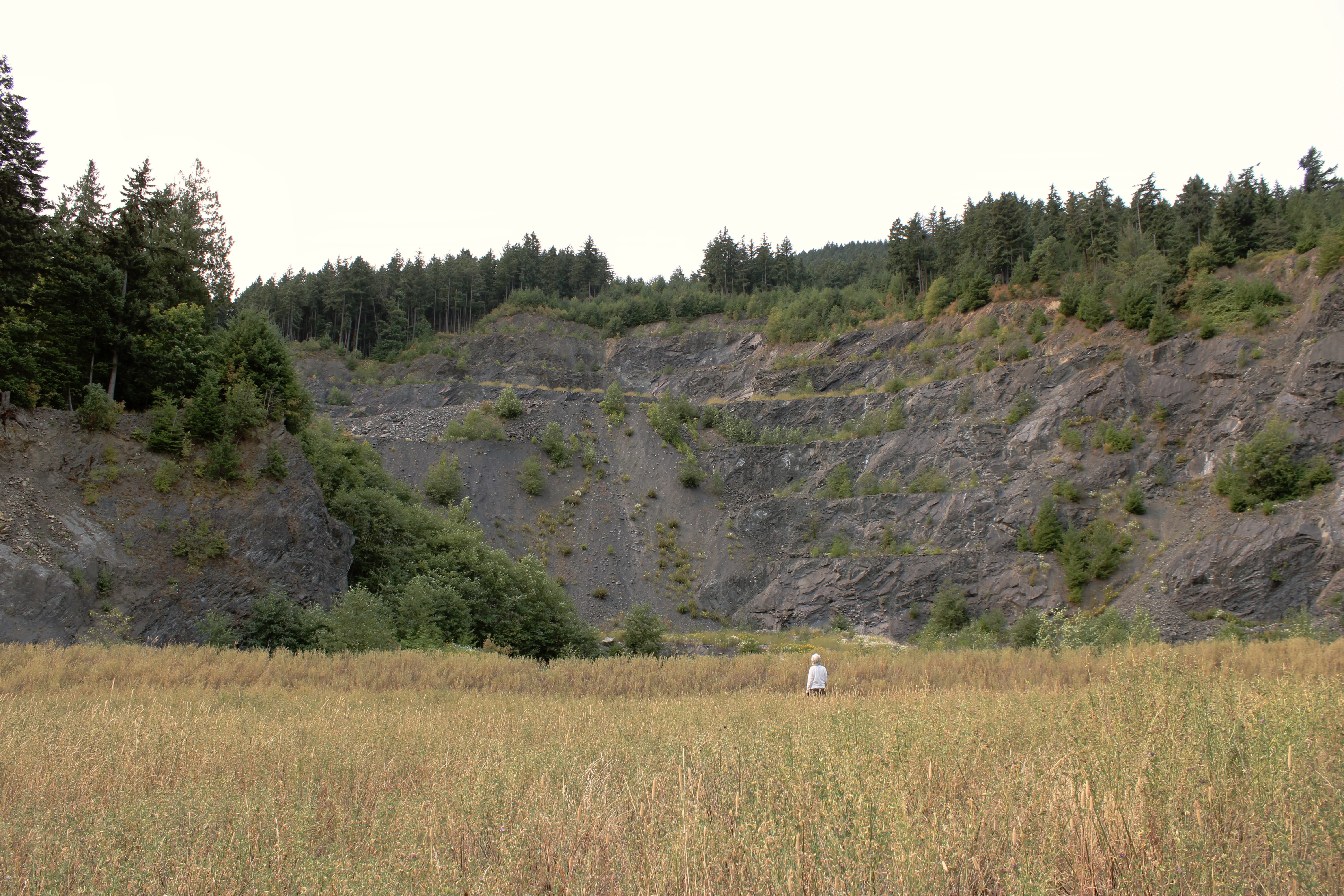 Meredith Moench stands in the field of Aiston Preserve