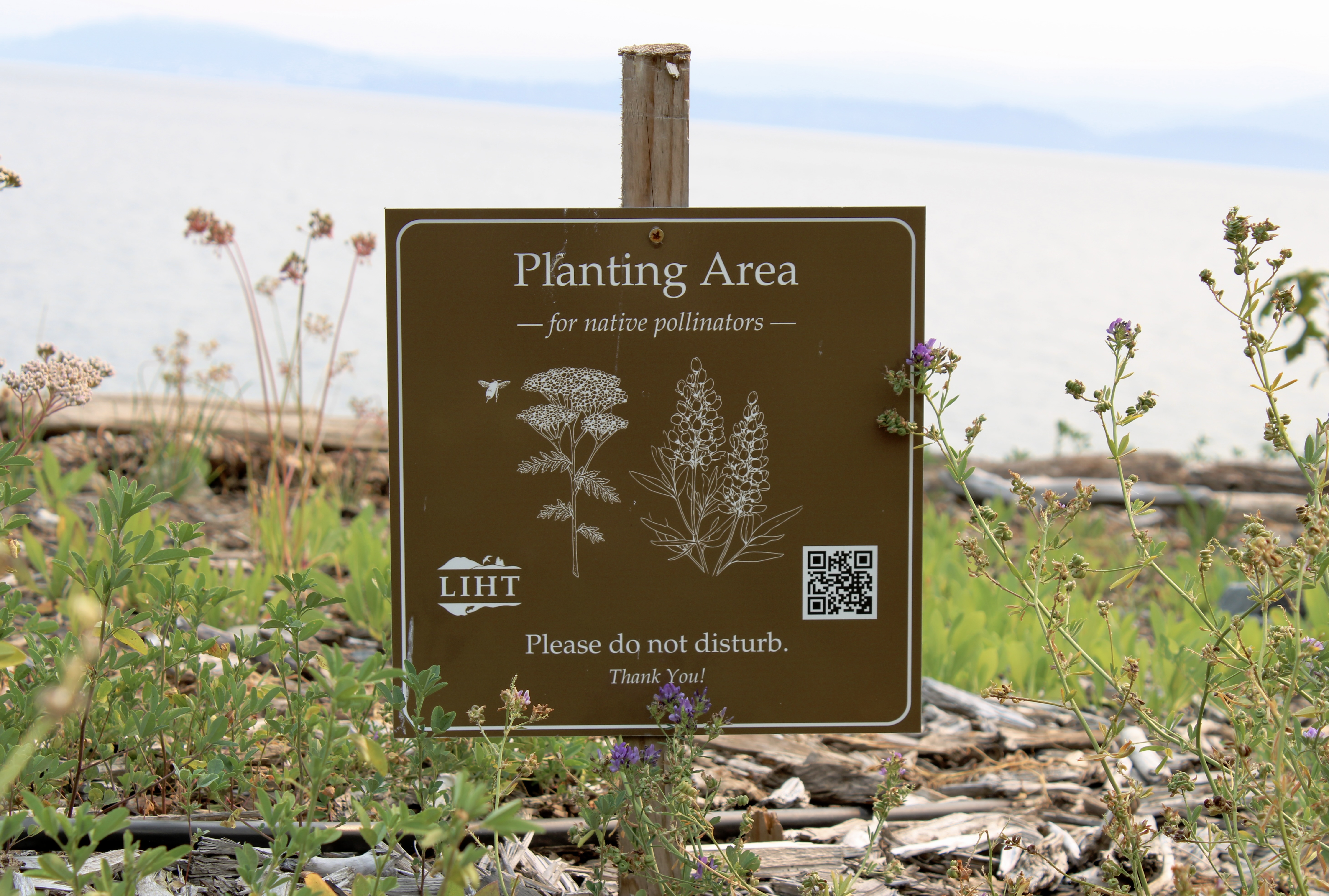 A sign in the ground near newly planted seedling at Aiston Preserve