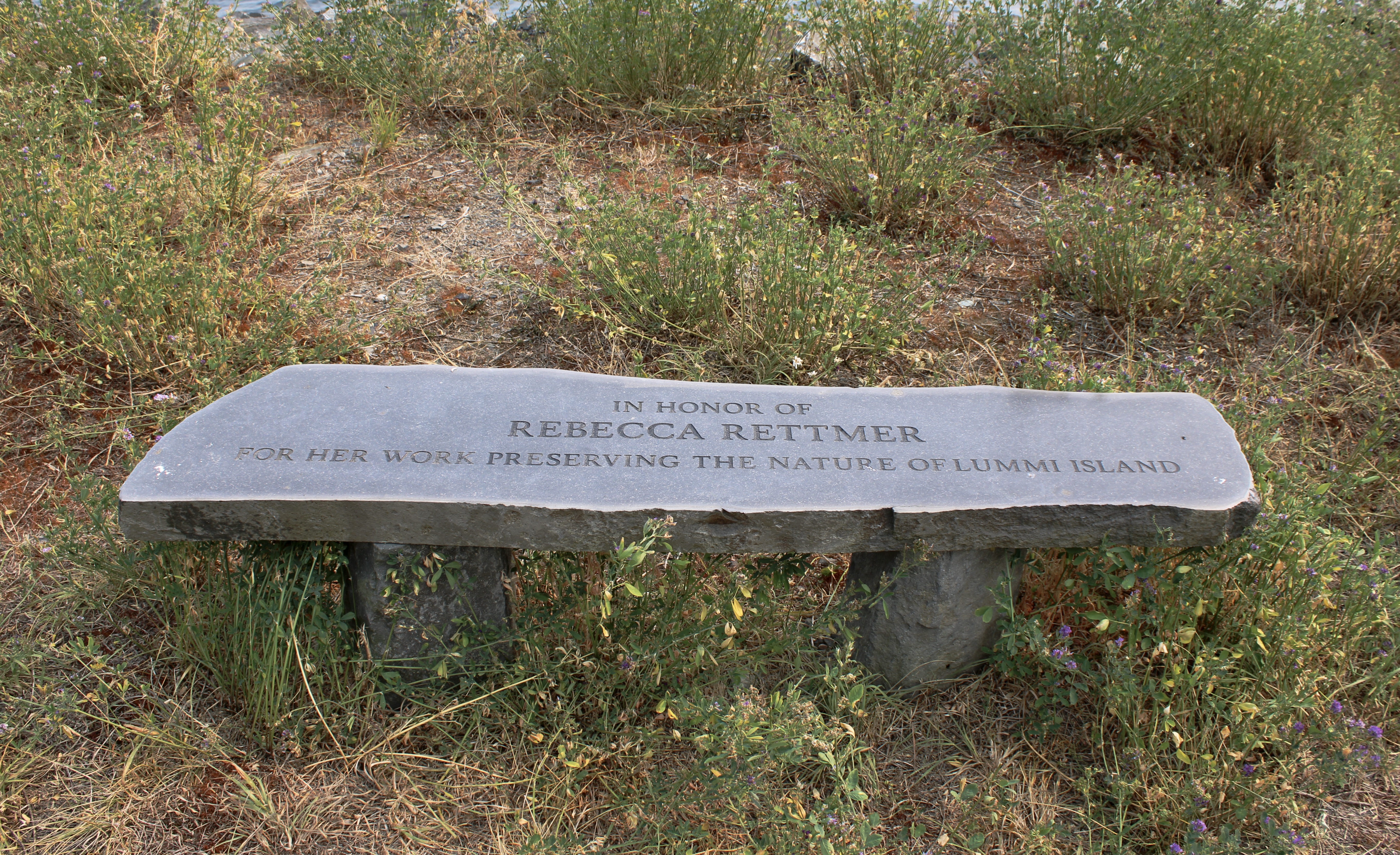 bench commemorating Rebecca Rettmer,