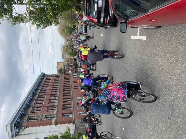 Bellingham annual bike parade