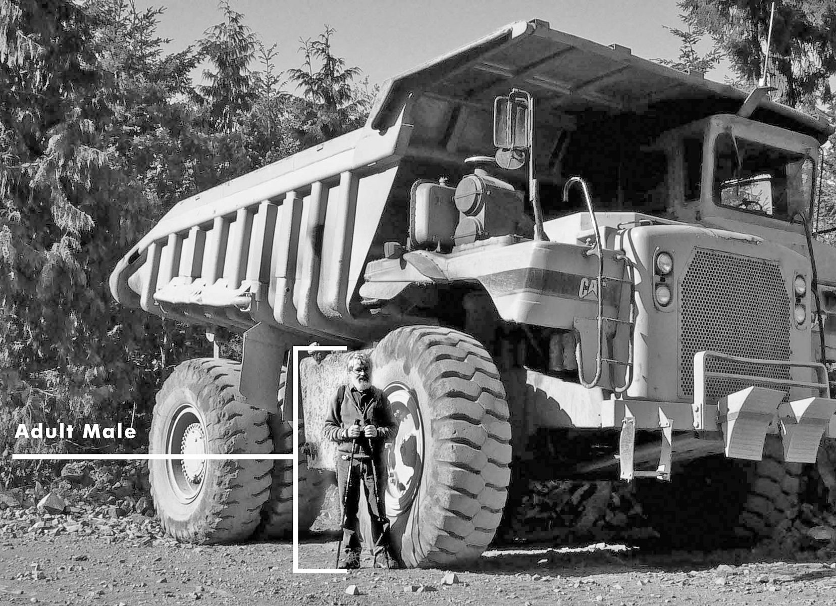 Mining truck size/scale