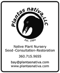 Plantas Nativa